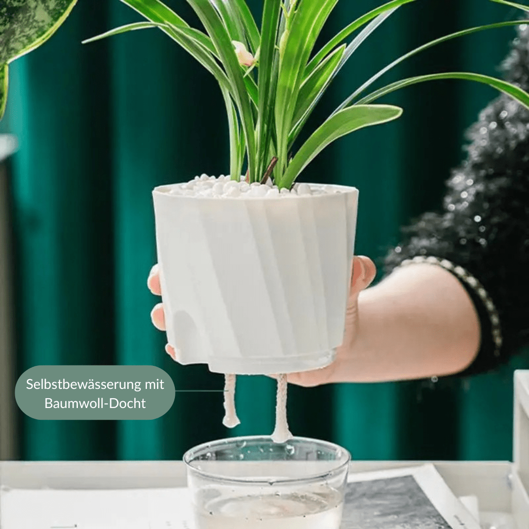 Laventi AQUA™ Selbstwässernder Pflanztopf Laventi