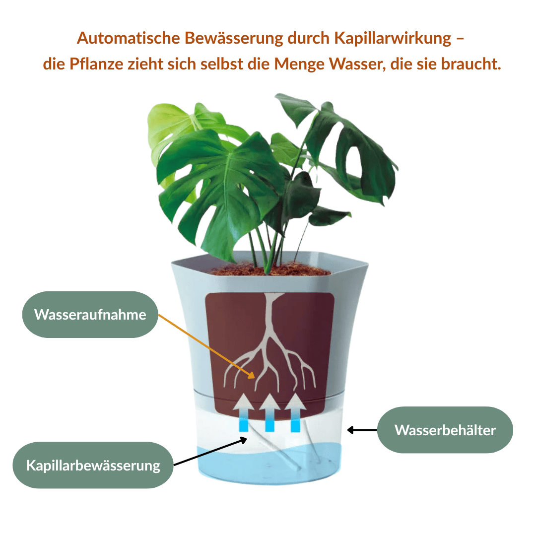 Laventi AQUA™ Selbstwässernder Pflanztopf Laventi