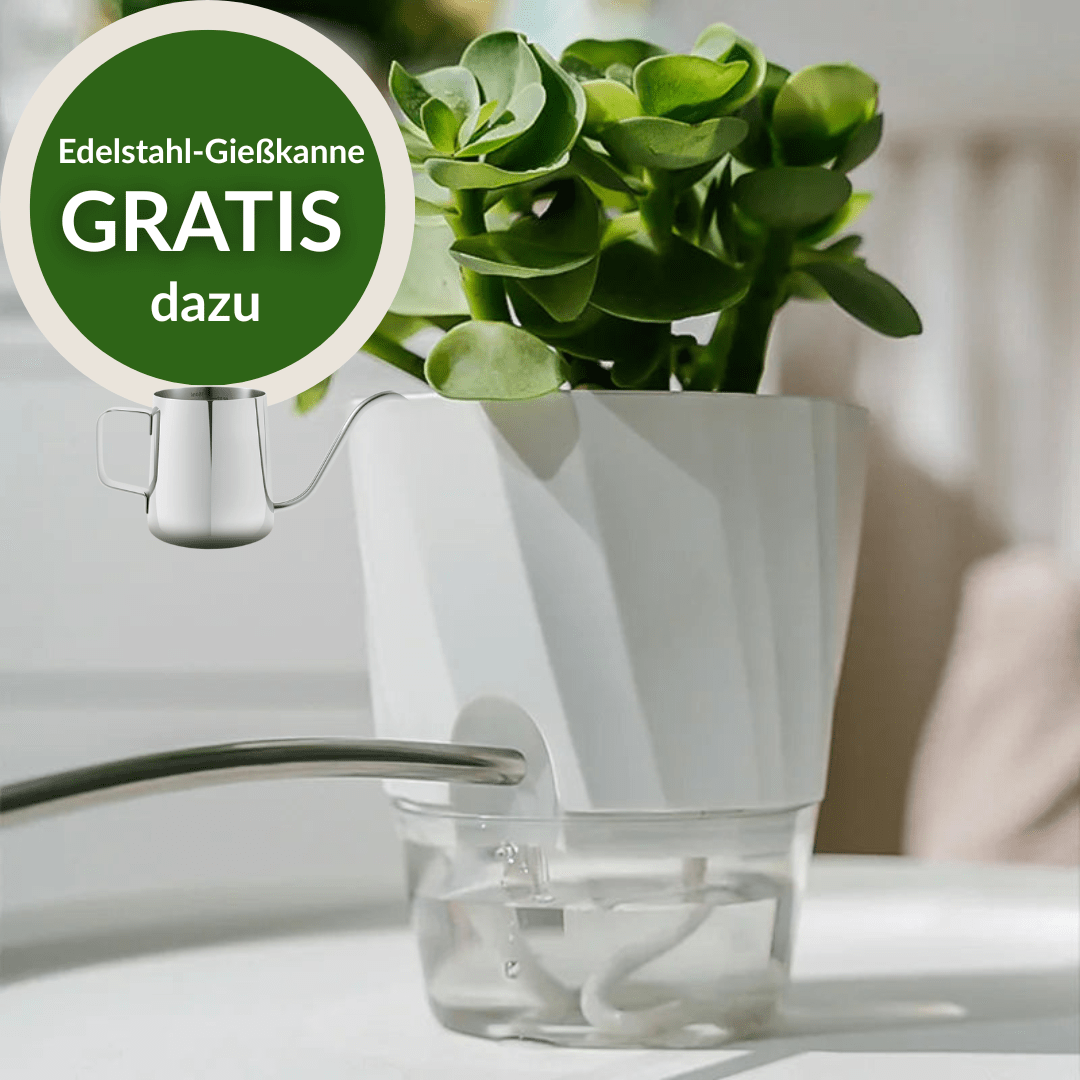Laventi AQUA™ Selbstwässernder Pflanztopf Laventi
